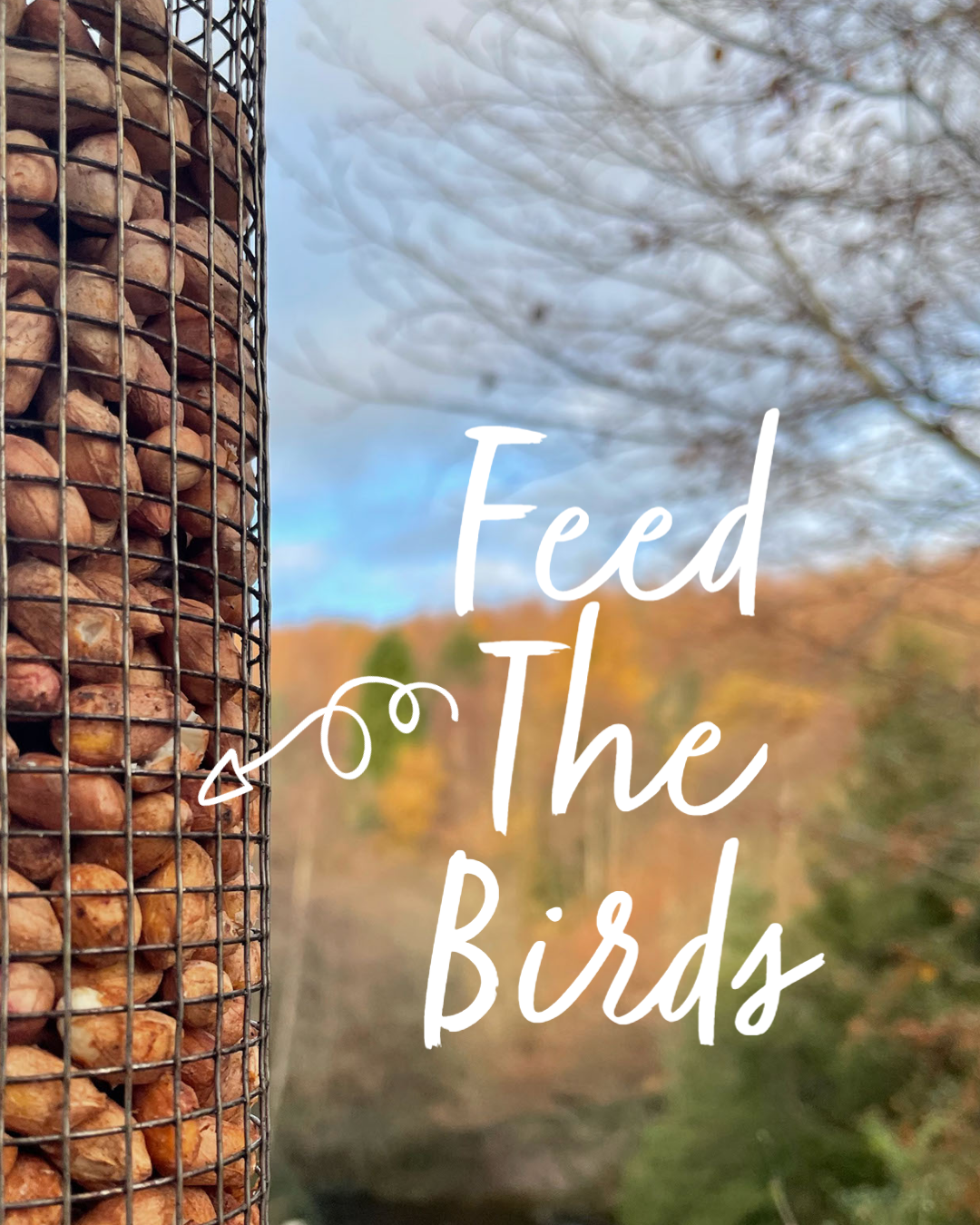 Bird Feed Jolys garden centre, Ballinacoola, Glenealy, Co. Wicklow, A67 X940